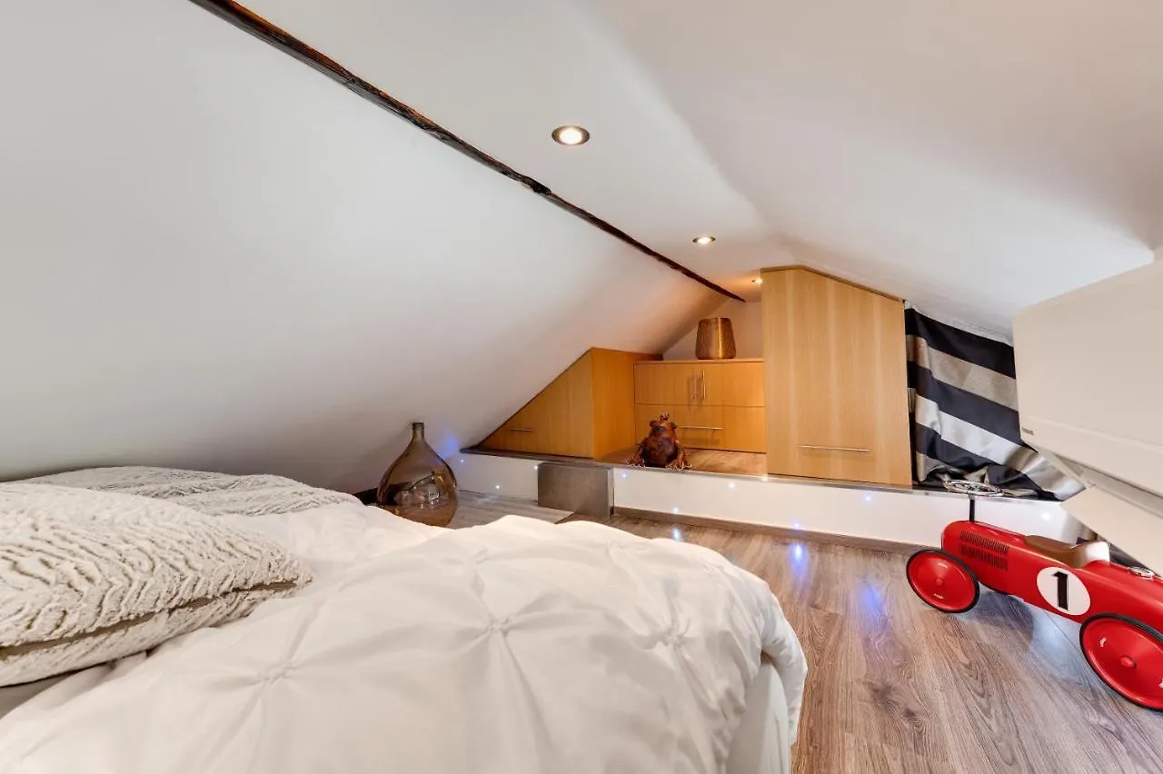 Le Duplex Atypique Et Superbe Apartment Annecy