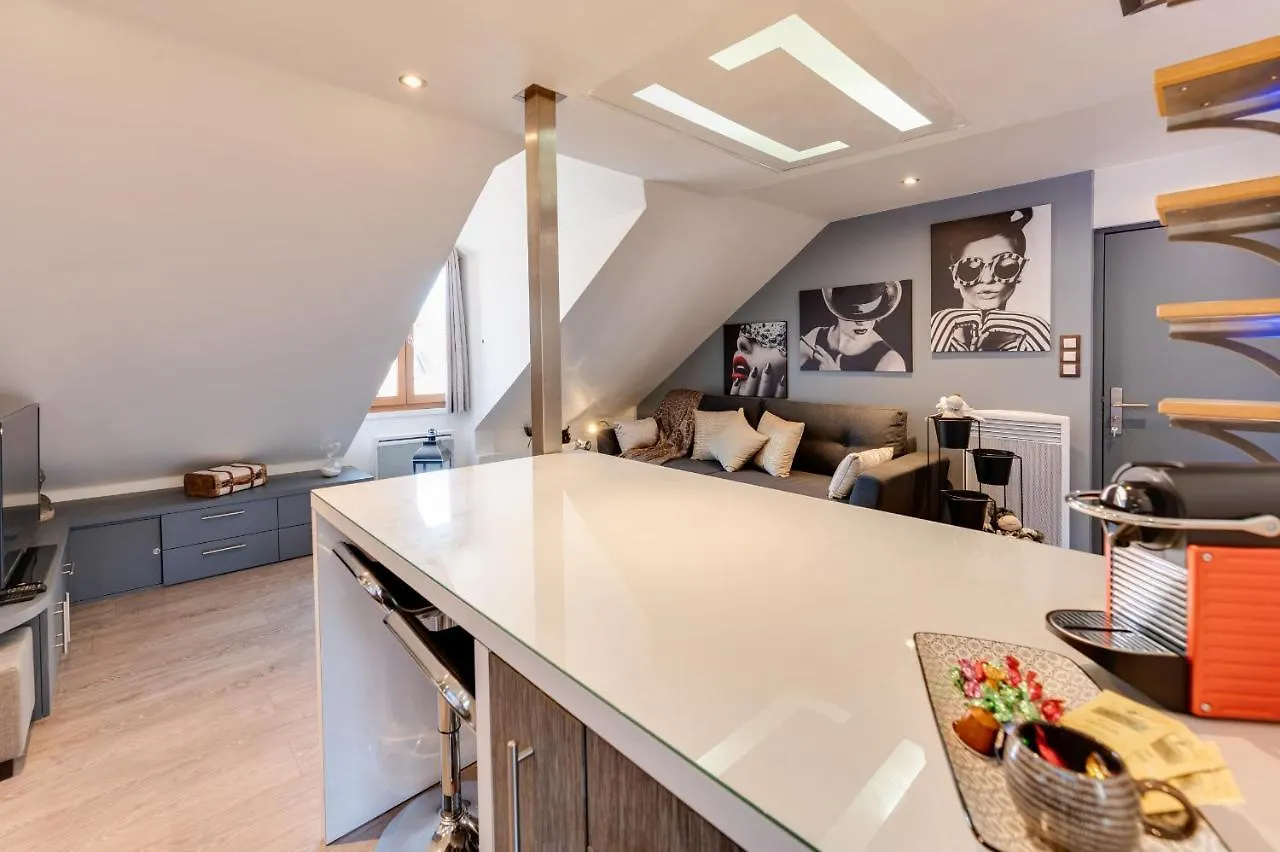 Le Duplex Atypique Et Superbe Apartment Annecy 0*,  France