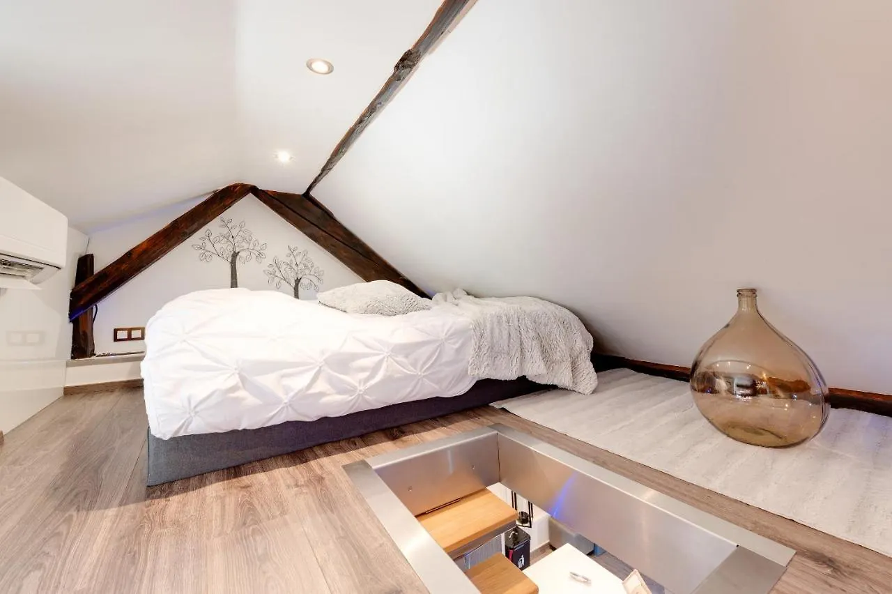 Le Duplex Atypique Et Superbe Apartment Annecy